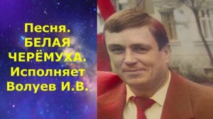 1487.В.Ю. ВИДЕО. Песня. БЕЛАЯ ЧЕРЁМУХА. Исполняет Волуев И.В.