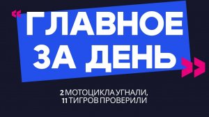 Главное за день: 2 мотоцикла угнали, 11 тигров проверили