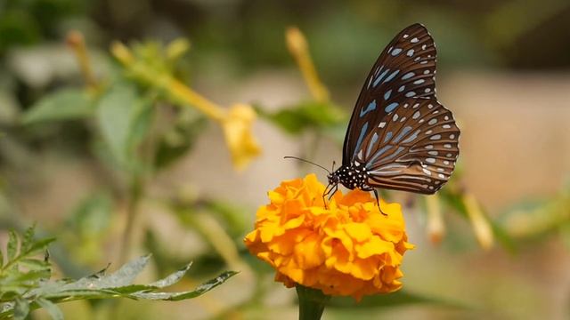 Михаил КОРЯКИН ©"Люби врагов своих..."