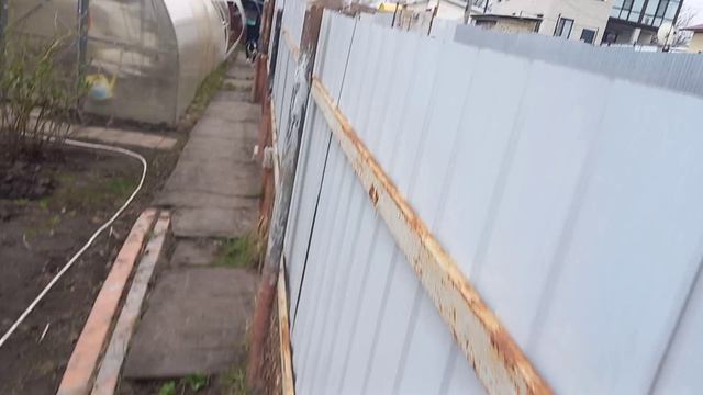 Всего плюс 10