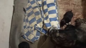 6,7 января2024г.Мой дом.Штукатурим.