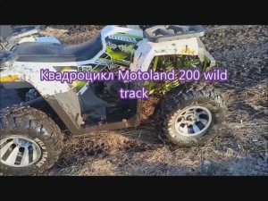Мой Квадроцикл Motoland 200 wild track для поездок в лес, на охоту и рыбалку.