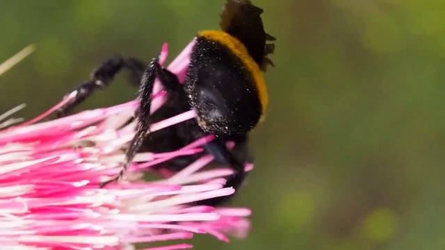 Продам стихи