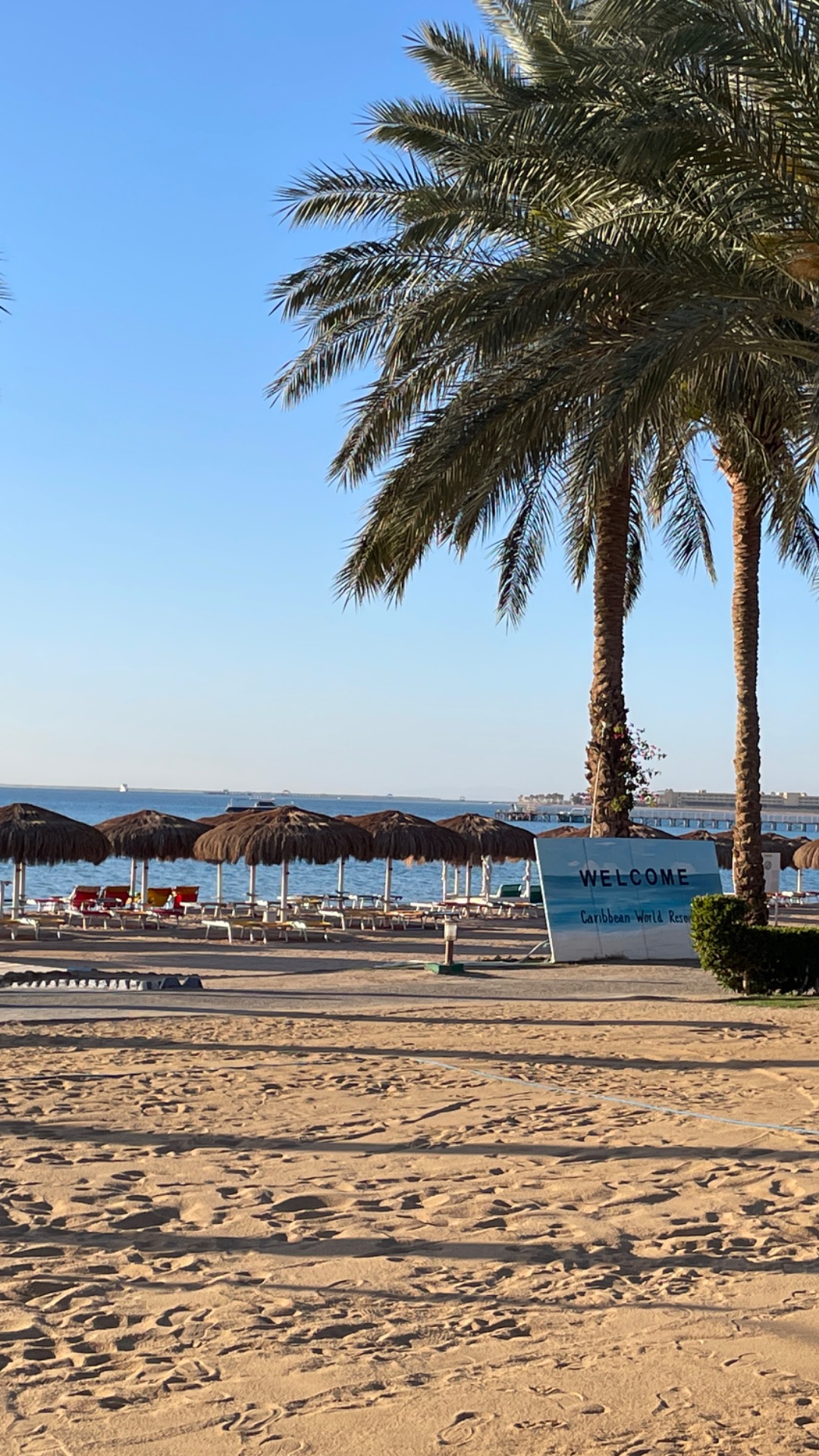 Египет «дикий пляж» прогулка по пляжу ранним утром