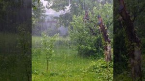 _Май уплывает в тёплый дождь_.mp4