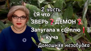 2 часть. 《Я что ЗВЕРЬ❓️ДЕМОН❓️Запугала я его❗️》- куча