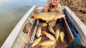 ВОТ ЭТО РЫБАЛКА! ПОЛНАЯ ЛОДКА РЫБЫ! БЕШЕНЫЙ КЛЁВ САЗАНА! Рыбалка на сазана весной, ловля на донку.