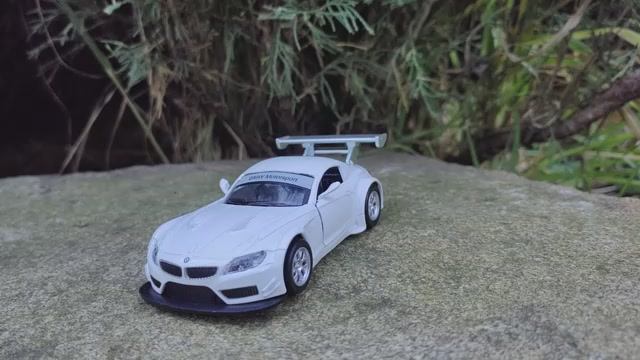 Модель BMW Z4 GT 3  от MSZ