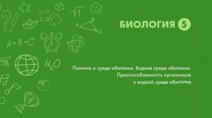 Поняие о среде обитания. Водная среда обитания. Приспособленность организмов к водной среде обитания