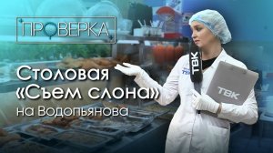 Столовая «Съем слона» на Водопьянова / «Проверка ТВК»