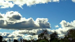 Облачно... ( 2025 год )