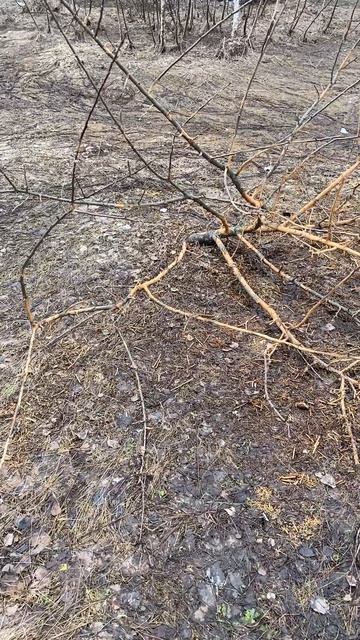 Что это? Это не заразно?