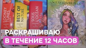 12 часов раскрашиваю раскраски Hachette и не только | Челлендж