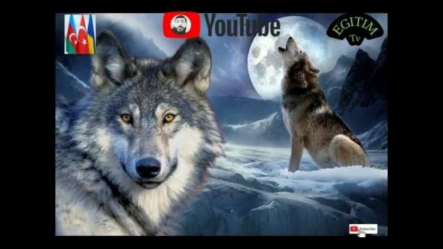 #Azərbaycan Turk Ukraine Yasasin#