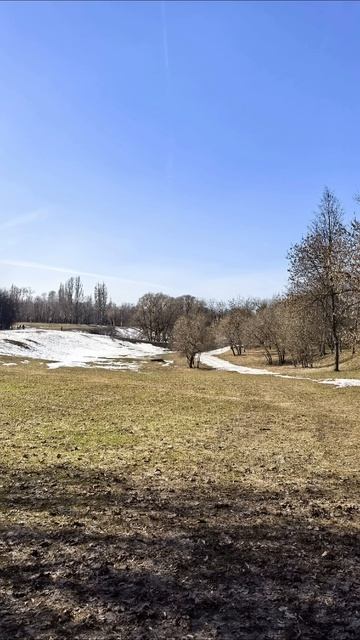 20260408_Браво_Ветер знает.mp4