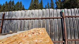 Сказ 6.Сойки и Белки#природа