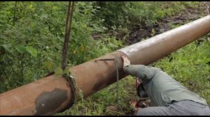 Архив 06.08.2024 года. МР-дин кьил Саид Темирханован тапшуругъ тамамарунин рекье.