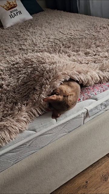 Когда немного похолодало 🥶