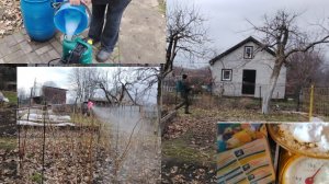 Обработка сада. Рецепт раствора показываю.