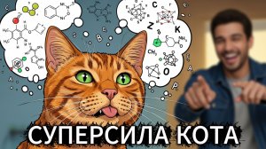 Для чего кот высовывает язык