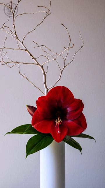 Логика икебаны