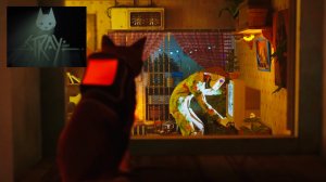 STRAY прохождение игры на PS5. Трущобы. Третья часть🍿