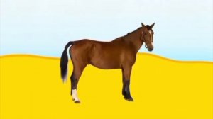 побег от нагетса ковбоя add round 0