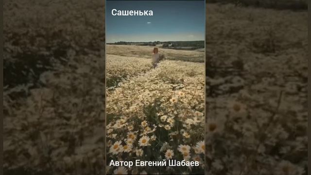 Сашенька. Автор Евгений Шабаев