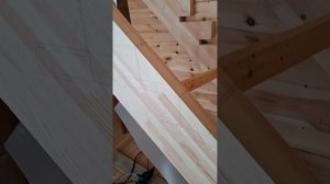 1000055351.mp4 (Собака наблюдает за устройством лестницы на 2-ой этаж в доме А-фрейм)