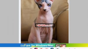 етот ролик грустный но зато с котиками