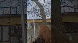 видео из рил Лайф😁😁𓇢𓆸в опис