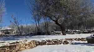 10 января 2024 год. Мой дом.Мороз и солнце-день чудесный)