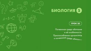 Почвенная среда обитания и её особенности. Приспособления организмов к почвенной среде обитания