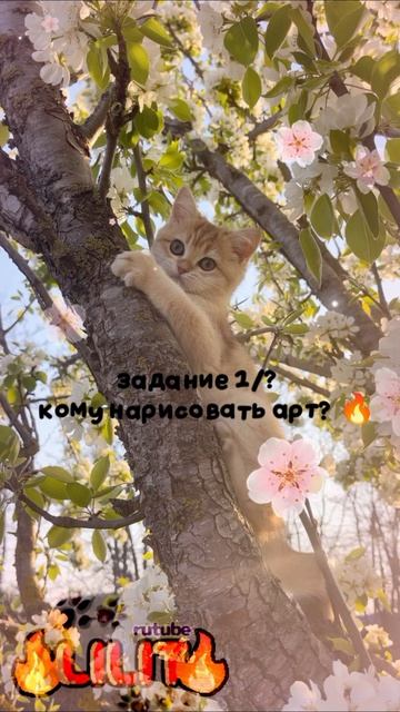 просите в комментариях)) 🥰