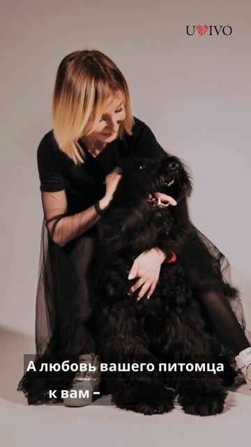 Сколько стоят услуги по уходу за домашними животными?