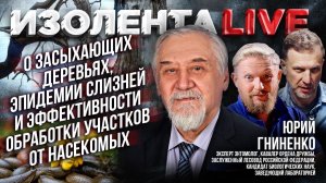 Юрий Гниненко о засыхающих деревьях,эпидемии слизней и эффективности обработки участков от насекомых