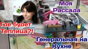 Где будет теплица?!/Генеральная уборка на кухне Часть 1