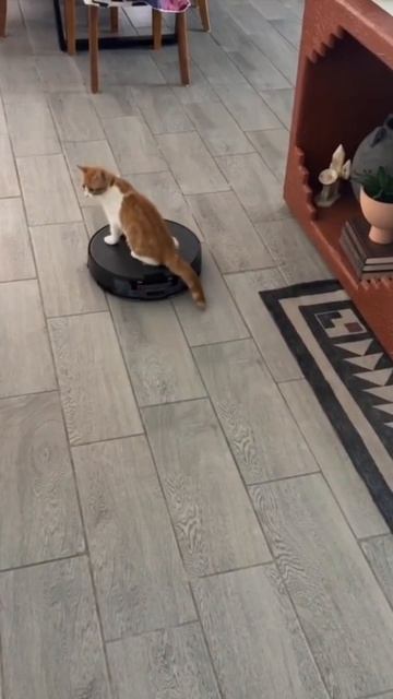 Ну, поехали, милый, поехали...