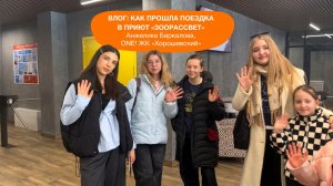 Влог из приюта для животных Зоорассвет