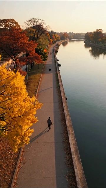 Осенняя прогулка вдоль реки #осень #природа #город