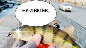 МИКРОДЖИГ В СИЛЬНЫЙ ВЕТЕР, КАК ЛОВИТЬ? |CF NANO LONG 0.5-3| #СПИННИНГ