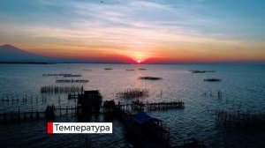 Водная среда обитания