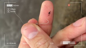 Я не хотел, но Они багрились сами