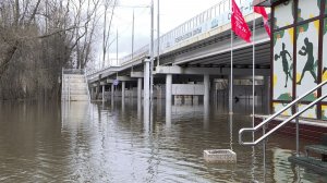 Уровень Оки у Рязани поднялся на 8 сантиметров за сутки