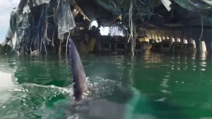 ГЛУБОКИЕ ВОДЫ