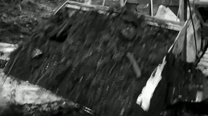 1968 год. Тюменская область. Вывоз удобрений на поля