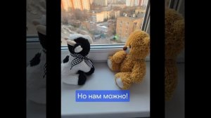 из жизни отдыхающих