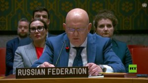 نيبينزيا: دعونا خلال مناقشة مشروع القرار لنهج متوازن وموضوعي ولا يمكن تجاهل سبب الأزمة في المنطقة