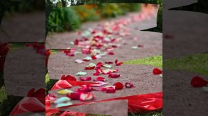 Без тебя Аркадий Кобяков кавер сл.О.Пахомов