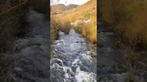 Монсегюр. СИНТЕЗ ИТОГОВ ЭКСПЕДИЦИИ, Франция. Оксана Пивняк. МНШУ